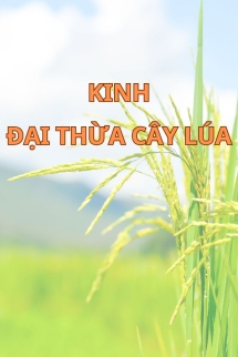 Kinh Đại Thừa Cây Lúa